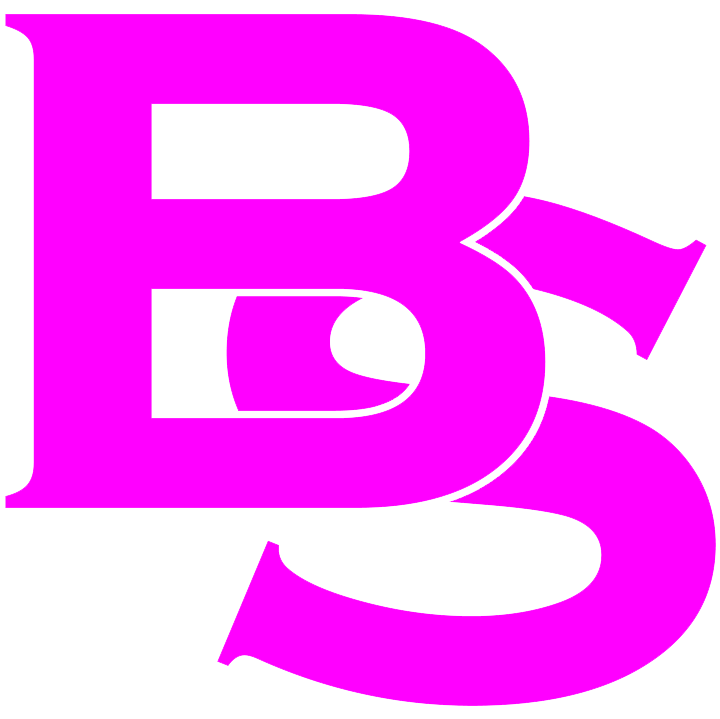 Bachatasaar Saarbrücken